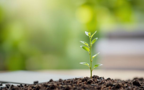 Financial advisor selection: nurturing financial growth with expert guidance.