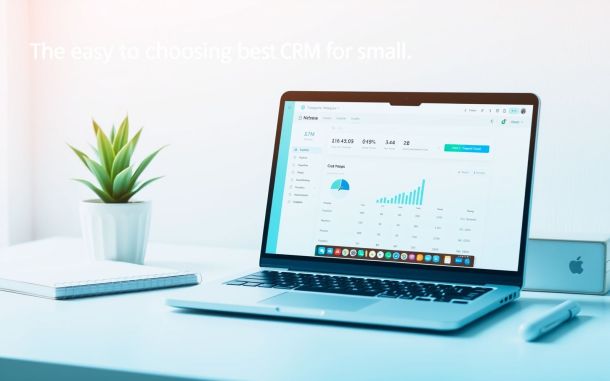 CRM dashboard for small business success