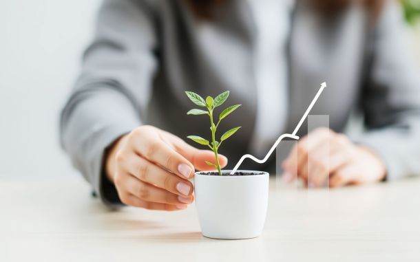 Financial growth concept: improving credit score quickly